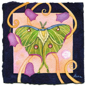 luna moth watercolor