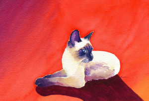 siamese cat watercolor painting